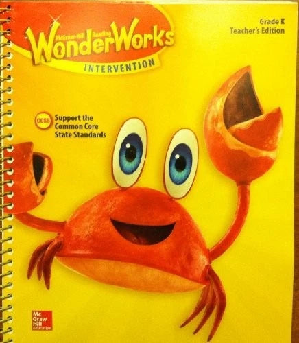 Reading Wonderworks Teacher Ed - GOOD