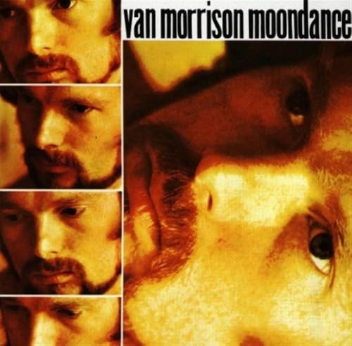 Moondance - VERY GOOD