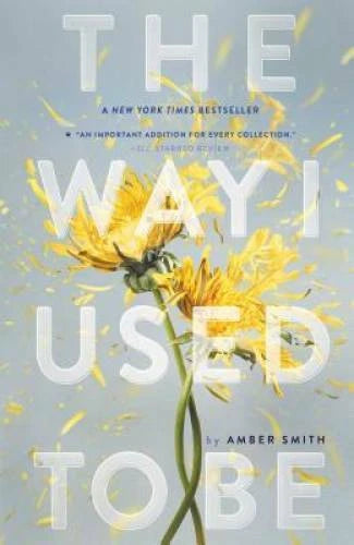 The Way I Used to Be - Paperback By Smith, Amber - VERY GOOD - image 2
