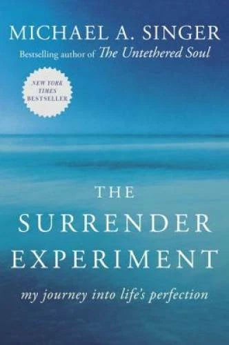 The Surrender Experiment: My Journey into Life's Perfection - Paperback - GOOD - image 2