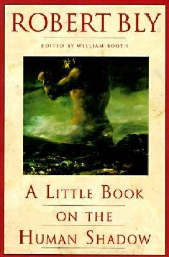 A Little Book on the Human Shadow - Paperback By Robert Bly - GOOD