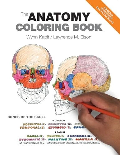 The Anatomy Coloring Book - Paperback By Wynn Kapit - VERY GOOD