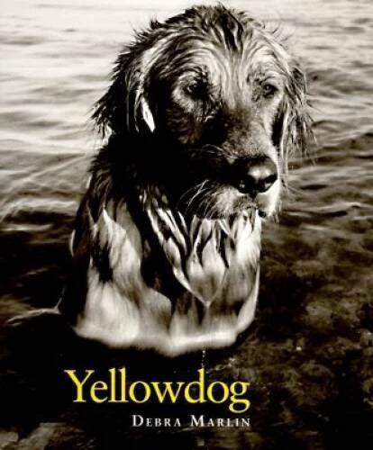 Yellowdog - Hardcover By Marlin, Debra - GOOD