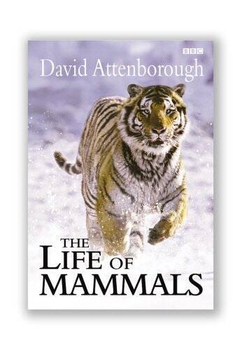 The Life of Mammals - Hardcover By Attenborough, Sir David - VERY GOOD