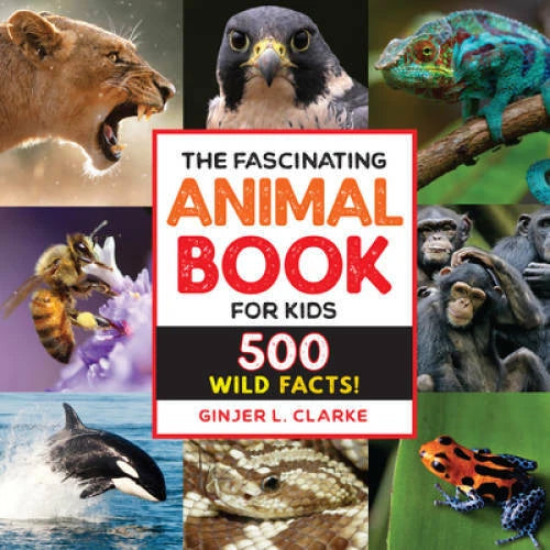 The Fascinating Animal Book for Kids: 500 Wild Facts - Paperback - ACCEPTABLE