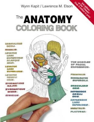 The Anatomy Coloring Book - Paperback By Kapit, Wynn - VERY GOOD