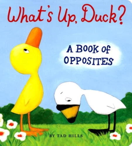 What's Up, Duck?: A Book of Opposites (Duck & Goose) - Board book - GOOD