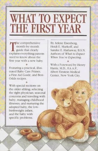 What to Expect the First Year - Paperback By Eisenberg, Arlene - GOOD