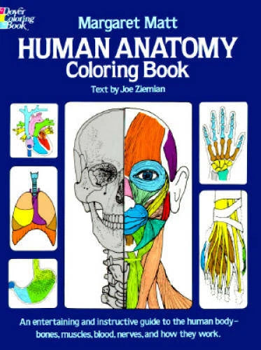 Human Anatomy Coloring Book (Dover Children's Science Books) - VERY GOOD