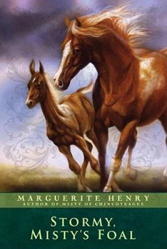 Stormy, Misty's Foal - Paperback By Henry, Marguerite - VERY GOOD
