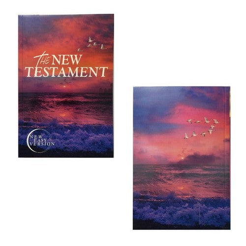 English New Testament Easy To Read Version Paperback (ERV)-English Bible ,Eng NT