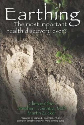 Earthing: The Most Important Health Discovery Ever? - Paperback - VERY GOOD