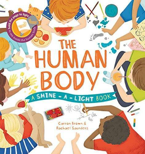 Shine-A-Light: The Human Body - Hardcover By Carron Brown - GOOD