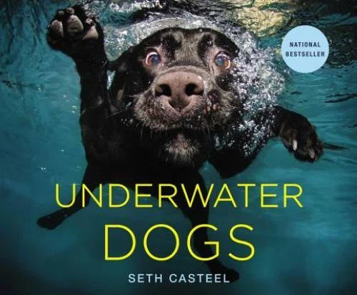 Underwater Dogs - Hardcover By Casteel, Seth - GOOD
