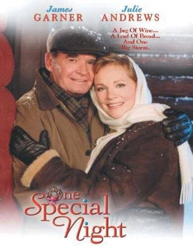 One Special Night - DVD - VERY GOOD