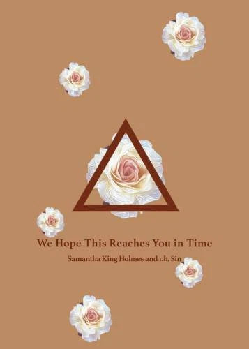 We Hope This Reaches You in Time - Paperback By Sin, r.h. - VERY GOOD